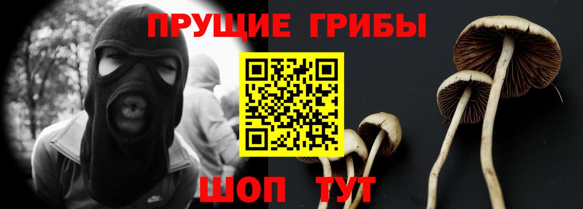 Звенигород  Галлюциногенные грибы Magic Shrooms  Вход с VPN 